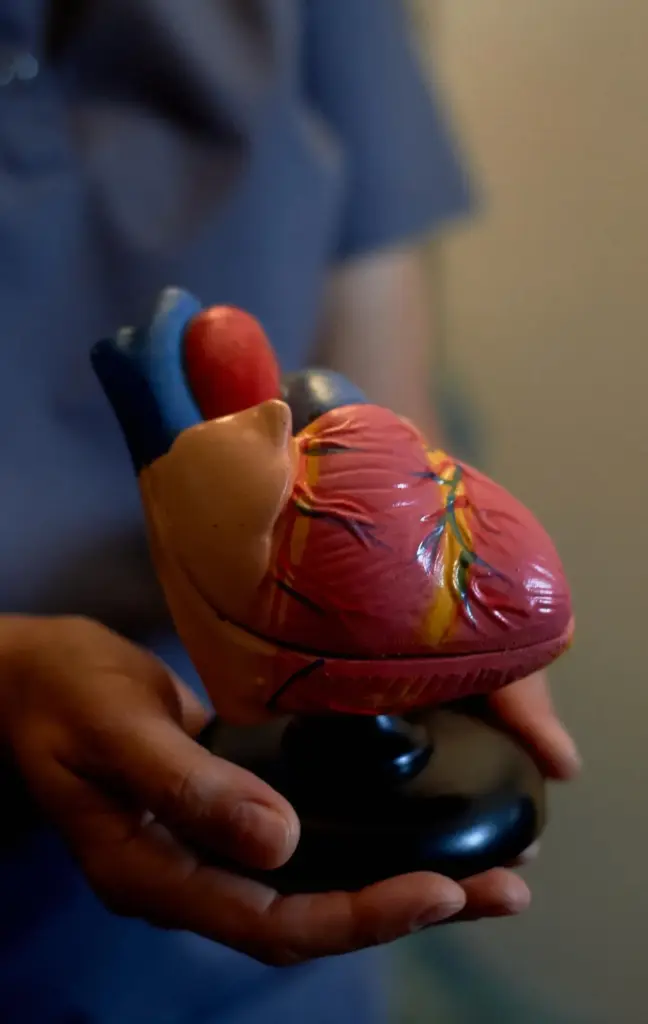 Cath Lab (Cardiac Interventions)